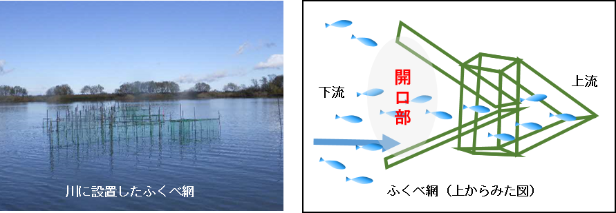 図２
