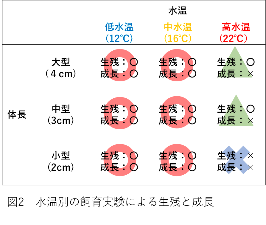 図2