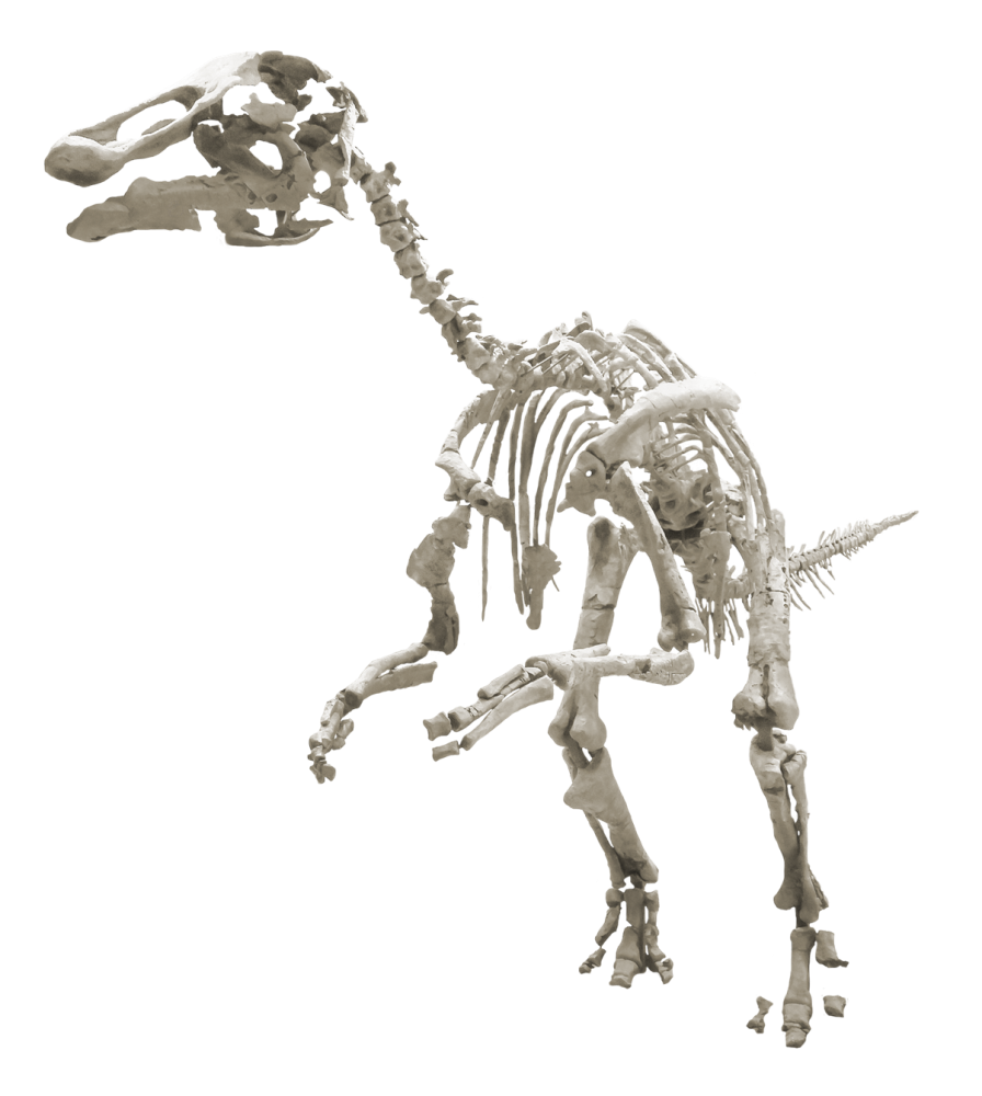 カムイサウルス