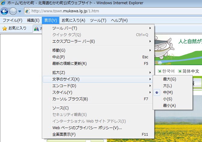 IEの表示メニュー