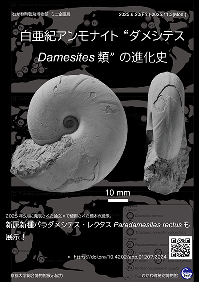 damesites
