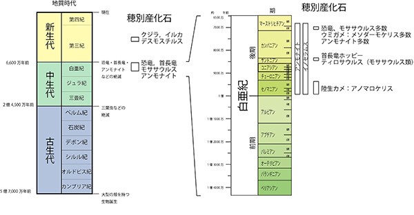 穂別化石地質時代