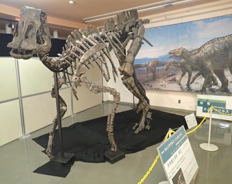 KamuysaurusReplica
