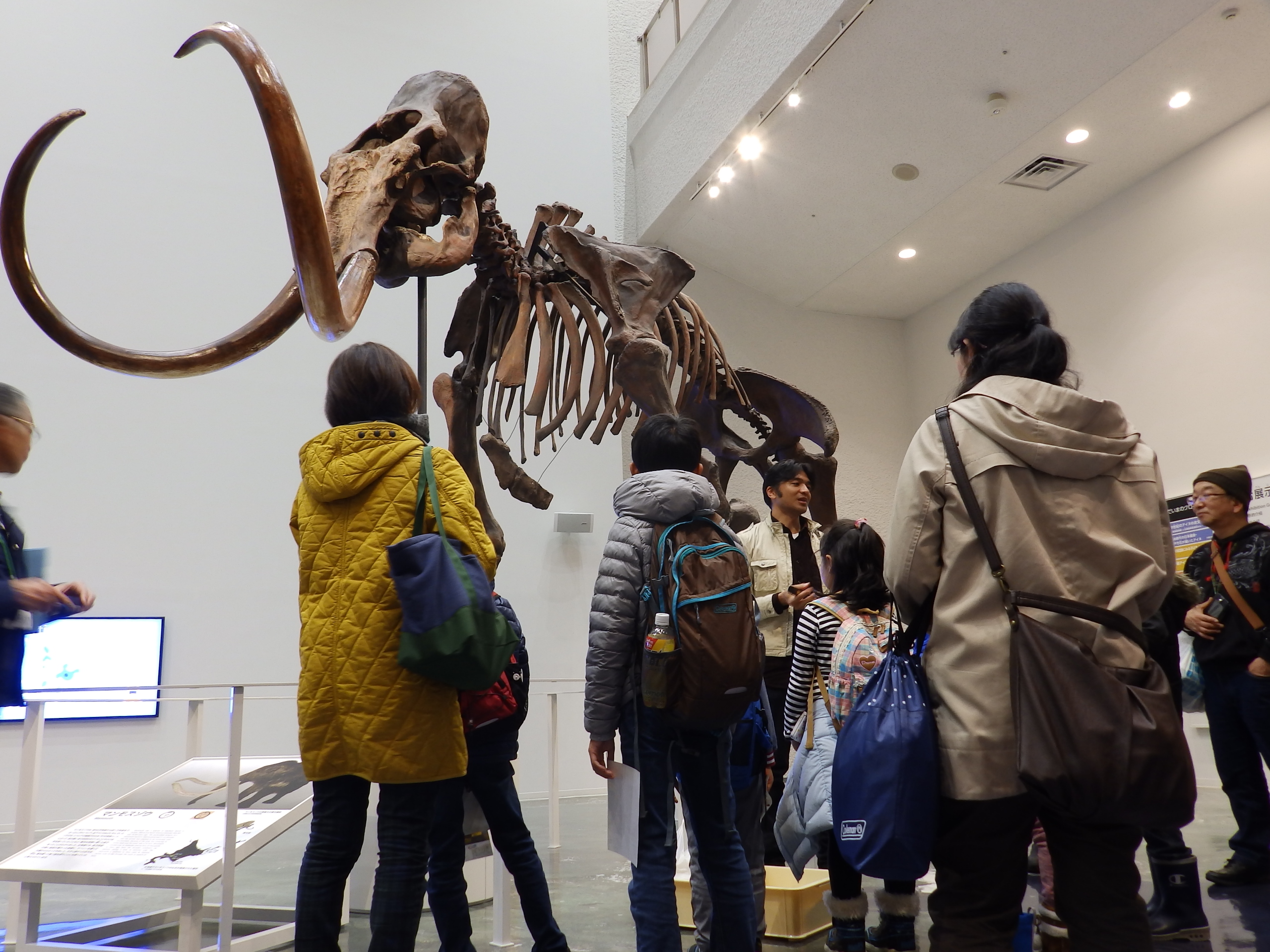 博物館見学バスツアー