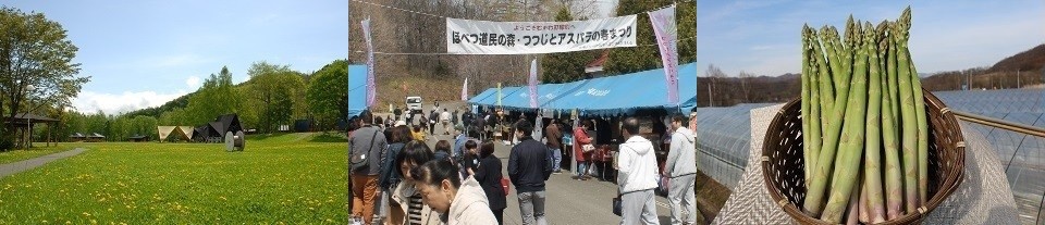 観光情報4