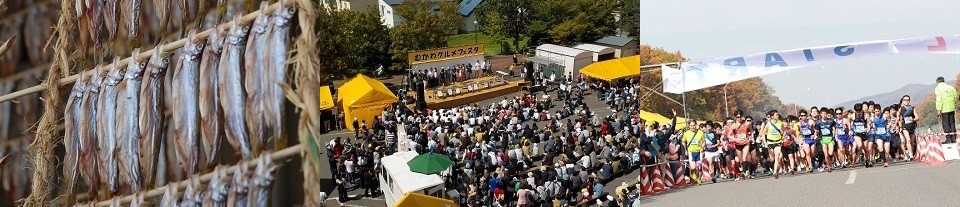 観光情報1